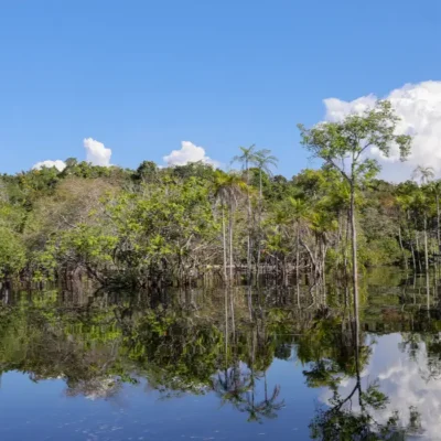 Rio Negro pode passar por pior seca da história ainda esta semana
